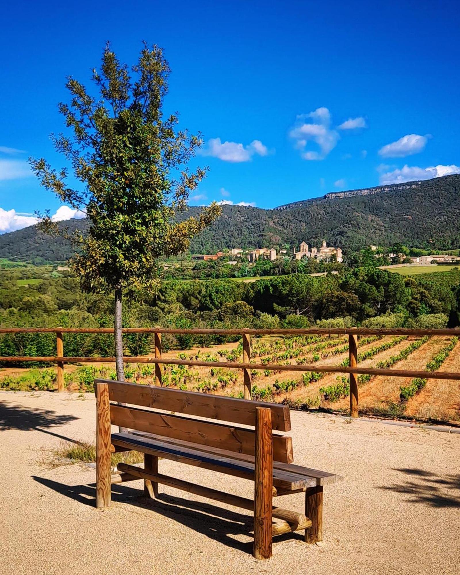Villa Cal Passio Vimbodi I Poblet Exterior foto